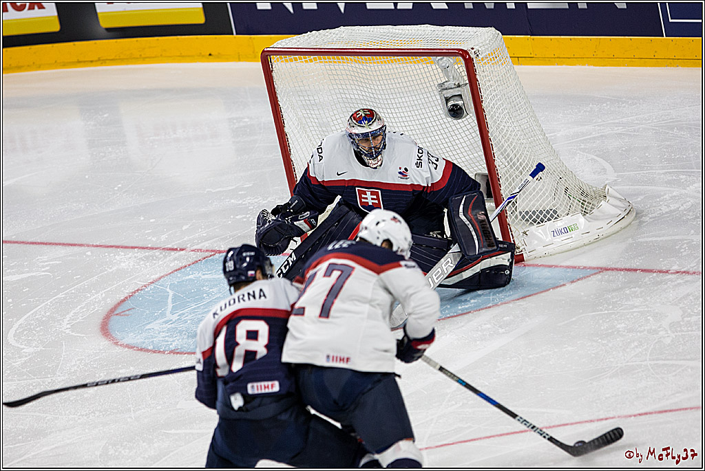 IIHF WM 2017, Slowakei - USA, 14.05.2017